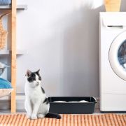 Ferplast Nip 10 - Открита котешка тоалетна без брод, 46,5 / 35,5 / 11,5 см. - синя 3