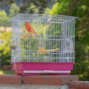 Ferplast - Cage Guisy White - Клетка за канарчета, екзотични и други малки птици - размер 39 x 26 x 37 см. 3