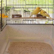 Ferplast - Canto Canary and small exotic bird cage - Оборудвана клетка за канарчета, екзотични и други малки птици, 71 х 38 х 60,5 см. 3