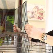 Ferplast - Canto Canary and small exotic bird cage - Оборудвана клетка за канарчета, екзотични и други малки птици, 71 х 38 х 60,5 см. 7