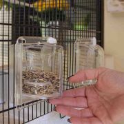 Ferplast - Canto Canary and small exotic bird cage - Оборудвана клетка за канарчета, екзотични и други малки птици, 71 х 38 х 60,5 см. 8