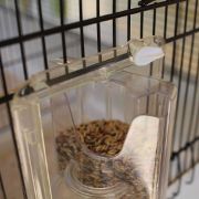 Ferplast - Canto Canary and small exotic bird cage - Оборудвана клетка за канарчета, екзотични и други малки птици, 71 х 38 х 60,5 см. 11