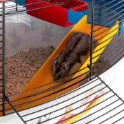Ferplast - CAGE CIRCUS FUN - Оборудвана клетка за хамстери и други гризчи - размер 49.5 х 34 х 42,5 см 7