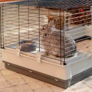 Ferplast - Cage Krolik Large - Клетка за зайци и други гризачи - 100 х 60 х 50 см. 6