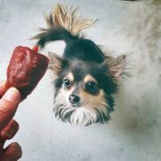 Duvo Plus Garden Bites - Вегетариански дентални лакомства за кучета, 6 см. /15 гр 3