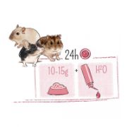 Witte Molen Puur Hamster & Friends -Премиум пълноценна храна за хамстери 400 гр. 3