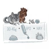 Witte Molen Puur chinchilla & degu - Премиум пълноценна храна за дегу и чинчили 500 гр. 3