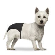 Duvo Plus XXL - Хигиенни гащи за разгонено куче, 60-70 см. 2