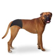 Duvo Plus XXL - Хигиенни гащи за разгонено куче, 60-70 см. 4