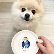Duvo Plus Smurfs Hefty - Глинена купа за кучета и котки за храна и вода, 180 мл. 2