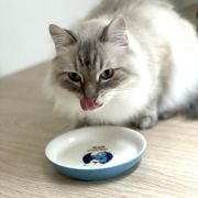 Duvo Plus Smurfs Hefty - Глинена купа за кучета и котки за храна и вода, 180 мл. 3