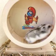 Duvo Plus Smurfs - Дървено колело за хамстери и други гризачи, 20 см. 3