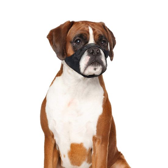 Duvo Plus Safety Dog Shirt Muzzle - Регулируем намордник за кучета с по-къса муцуна 51-71 см.