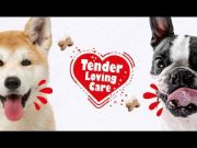Duvo Plus Soft Snack Chicken Puppy - Лакомство, наградки за подрастващи кучета, снакс с меки хапки пилешко, 100 гр 2