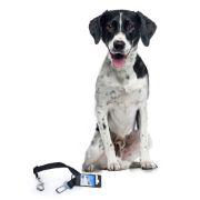 Duvo Plus Short Safety Lead - Предпазен повод /колан за кучета за автомобил 45-70см./2.5см. черен 1