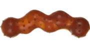 Flamingo Snake - Играчка от натурална гума за кучета, 19,5 см. 1