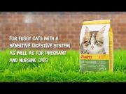 JOSERA Kitten Grainfree - Пълноценна суха храна за подрастващи и кърмещи котки с птиче месо, 400 гр. 2