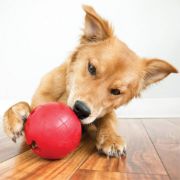 Kong Biscuit Ball Large - Гумена издръжлива топка за кучета за игра с място за пълнене с лакомства 10 см. 3