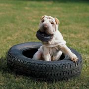 Kong Tyres M/L - Кучешка играчка за дъвчене от здрав мек каучук 11.5 см. черна 3