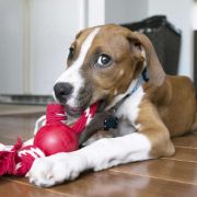 KONG Ball with Rope - Издръжлива и забавна играчка за кучета, топка с въже за дърпане и ръбане 3