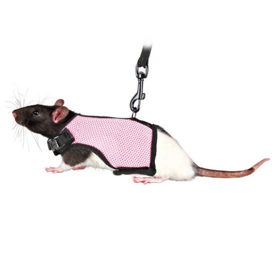 Trixie Soft Harness with Lead - Нагръдник за гризачи 12 - 18 см.