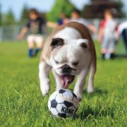 Kong Sport Balls Large - Кучешка играчка - здрави топки за игра , различни цветове 8.5 см. 4