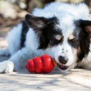 Kong Snacks Liver Small - Награда, бисквитка за кучета, за поставяне в Kong Classic играчка, с пилешки дробчета 198 гр 3