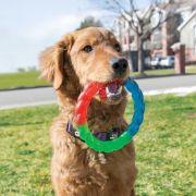 KONG Twistz Ring - Забавна и издръжлива играчка за кучета 2