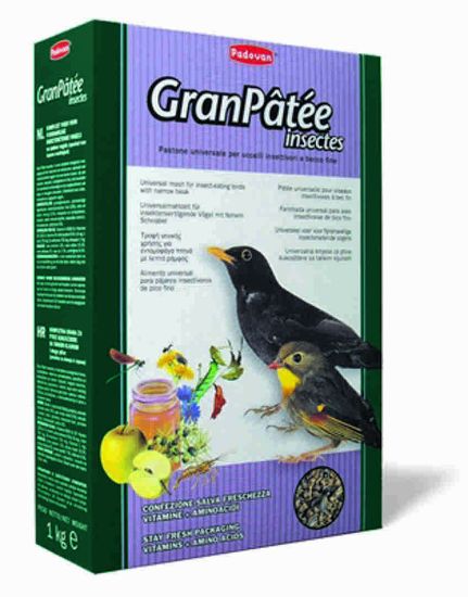 Padovan GranPâtée Insects Пълноценна храна за насекомоядни птици с тънка човка и други птици 1 кг.