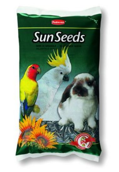 Padovan Sun seed - Слънчогледови семки за гризачи и папагали - 500 гр.