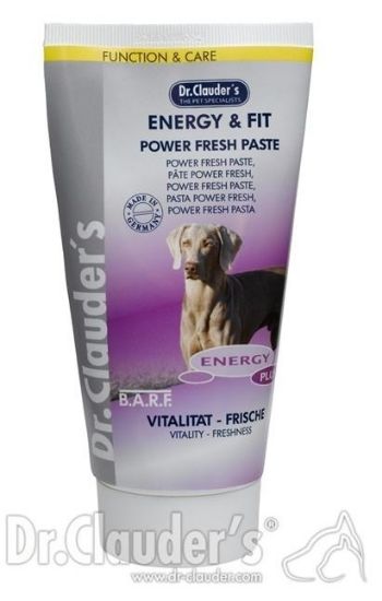 Dr.Clauder's Energy Fit - Power Fresh Paste - Хранителна добавка за повече енергия при кучетата - 100гр
