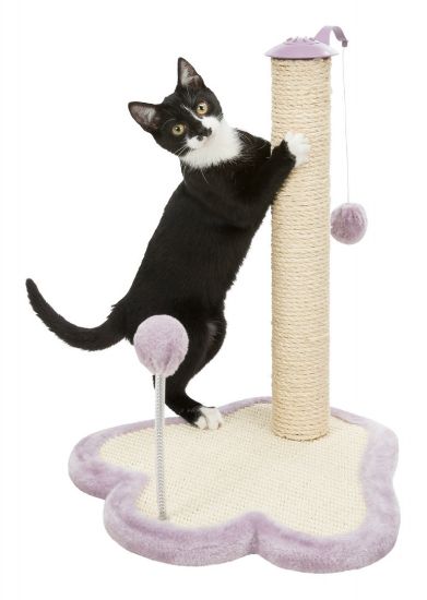 Trixie Junior Stamm - Драскалка за котки с топки за игра, 40/38/50 см.