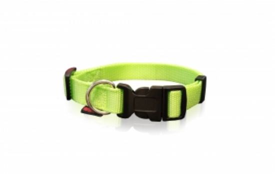 Pet Interest Dog Collar Fluo L - Регулируем нашийник за кучета, 2,5 * 47-70 см. - зелен