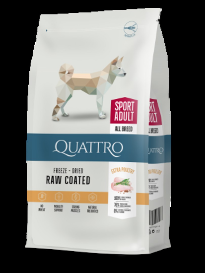Quattro Sport Adult Poultry - Пълноценна суха храна за израснали активни кучета с птиче месо, 12 кг.
